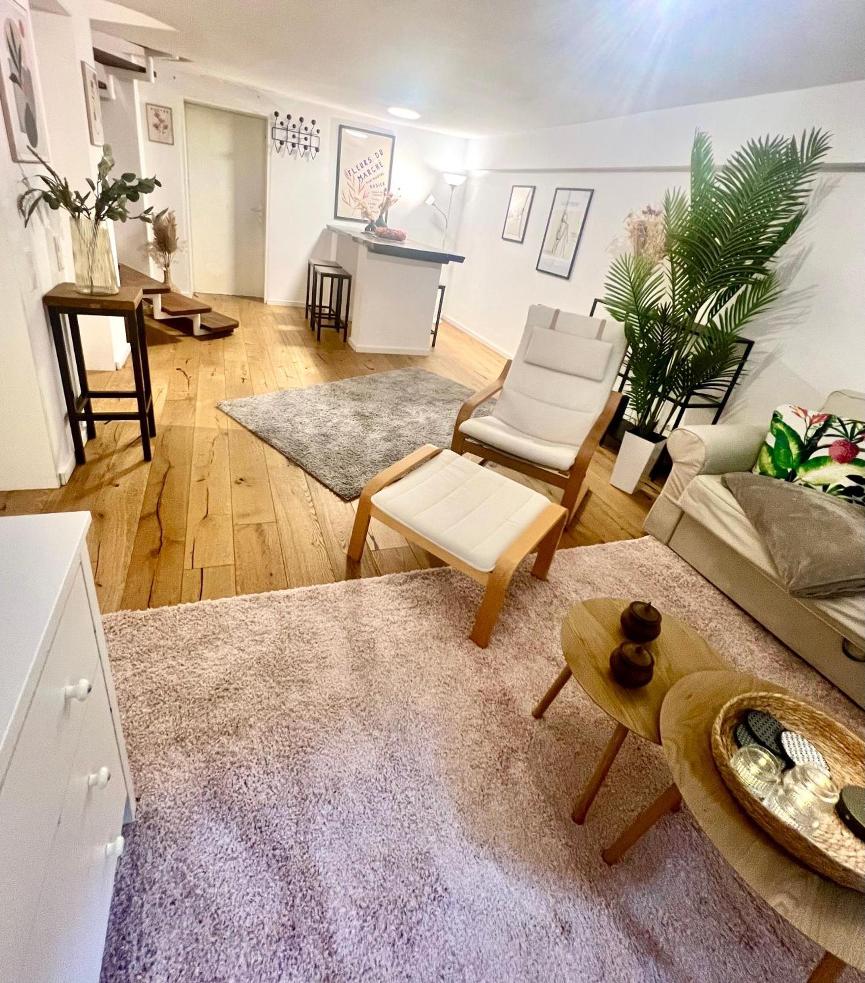 Gemuetliche Souterrain Wohnung Neben Der Universitaetsklinik In Homburg Homburg  Luaran gambar